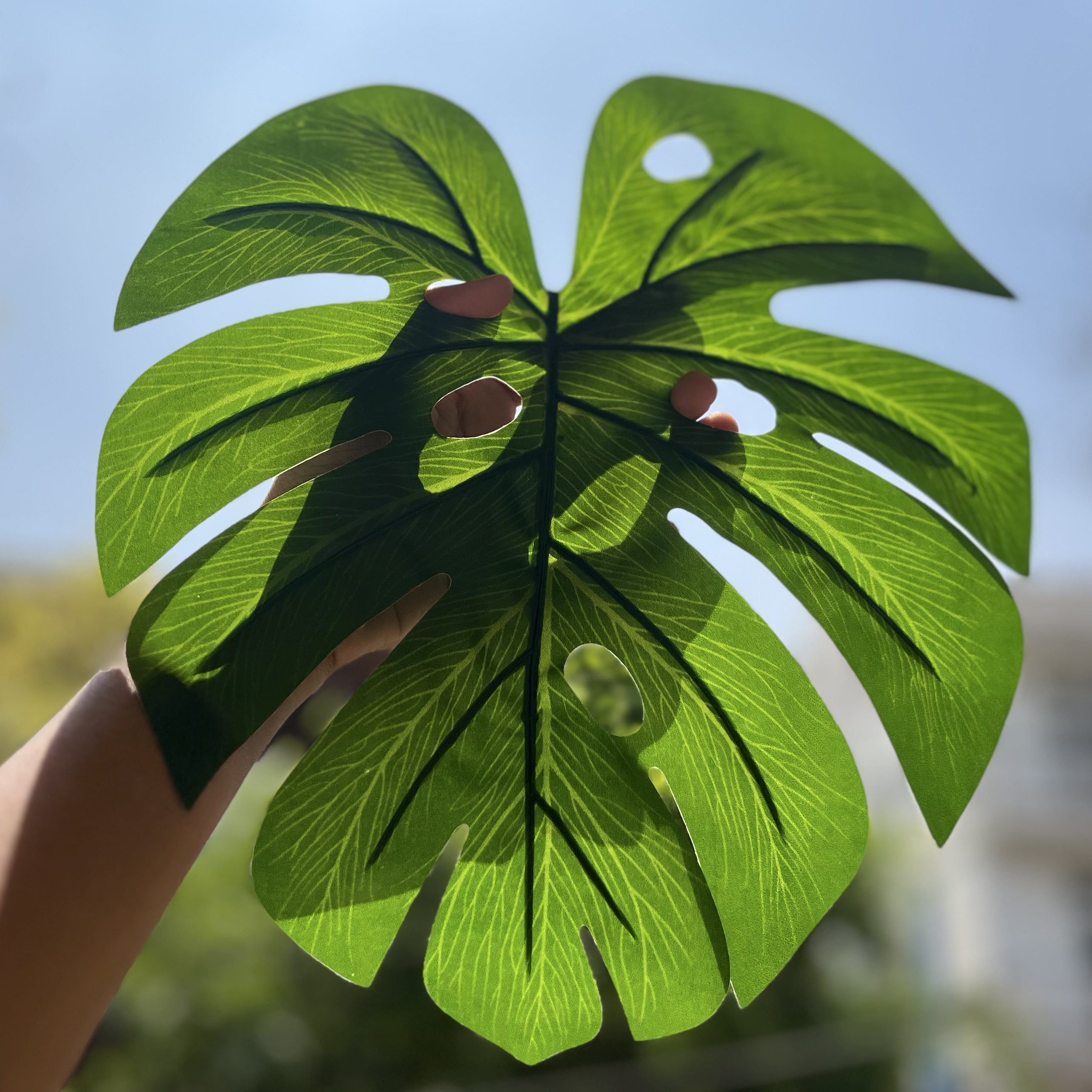 Leaf Mats