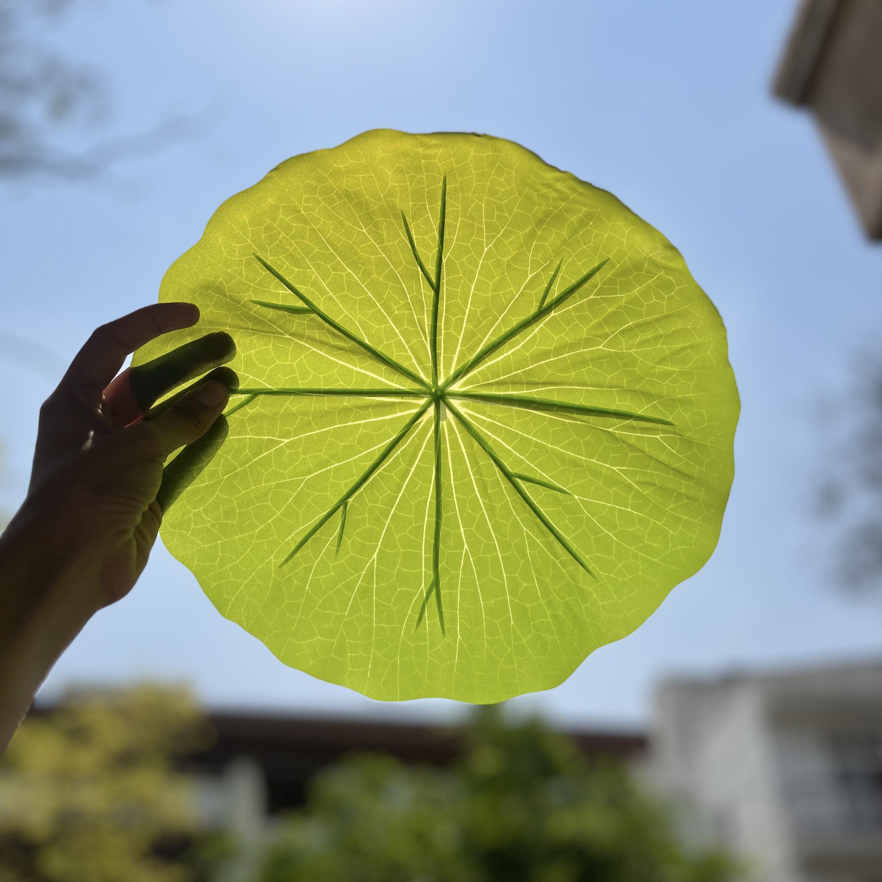Leaf Mats