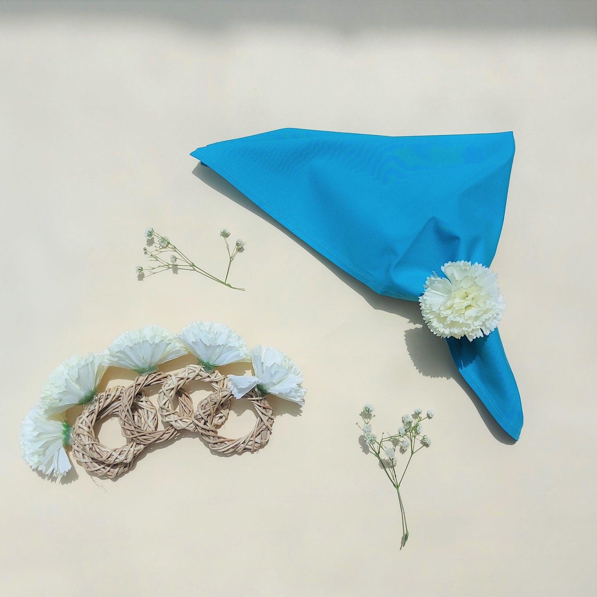 Napkin Holders