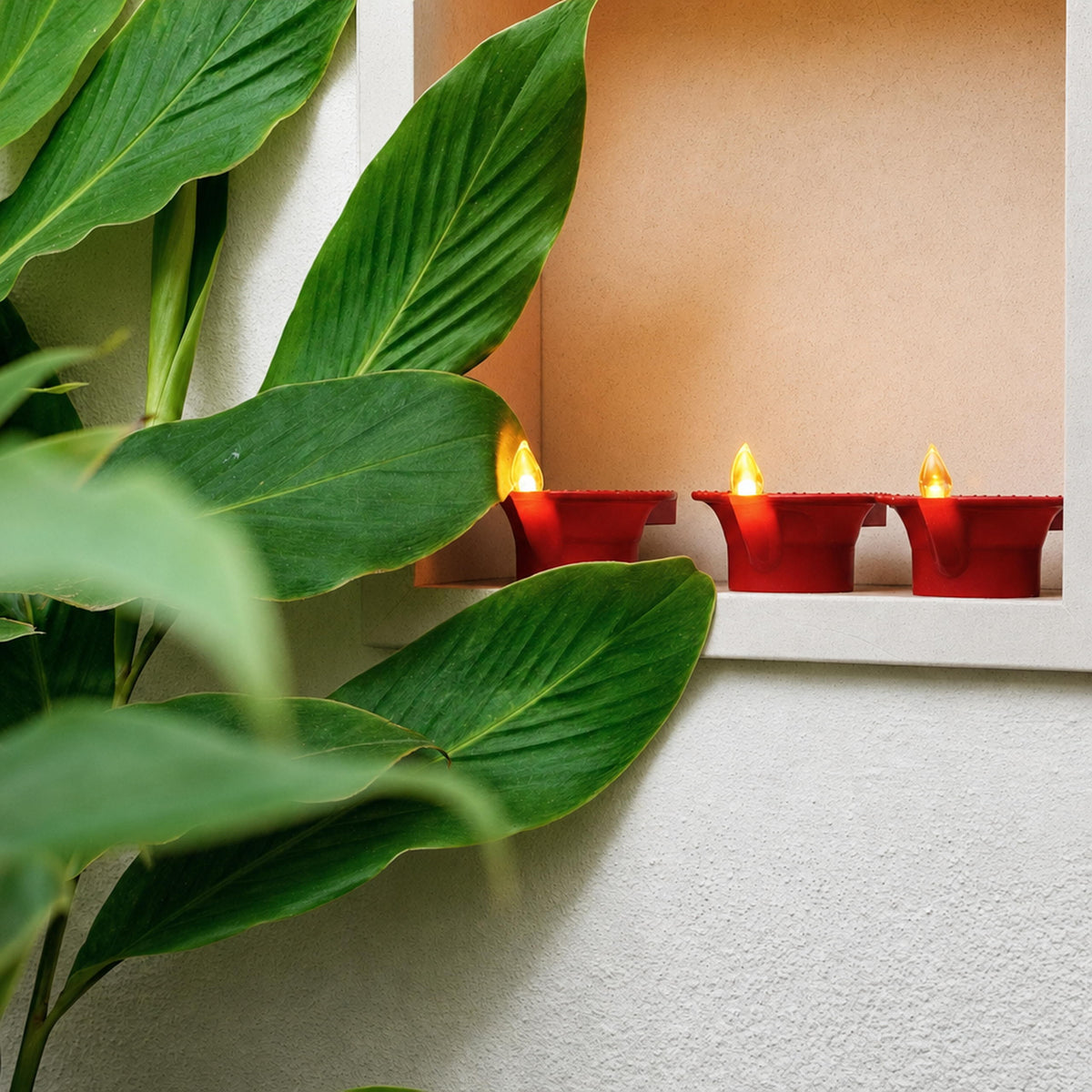 Three big flame LED diyas in a wall niche beside green leaves