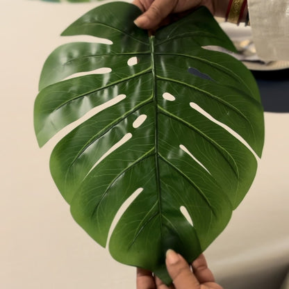 Monstera Leaf Mats