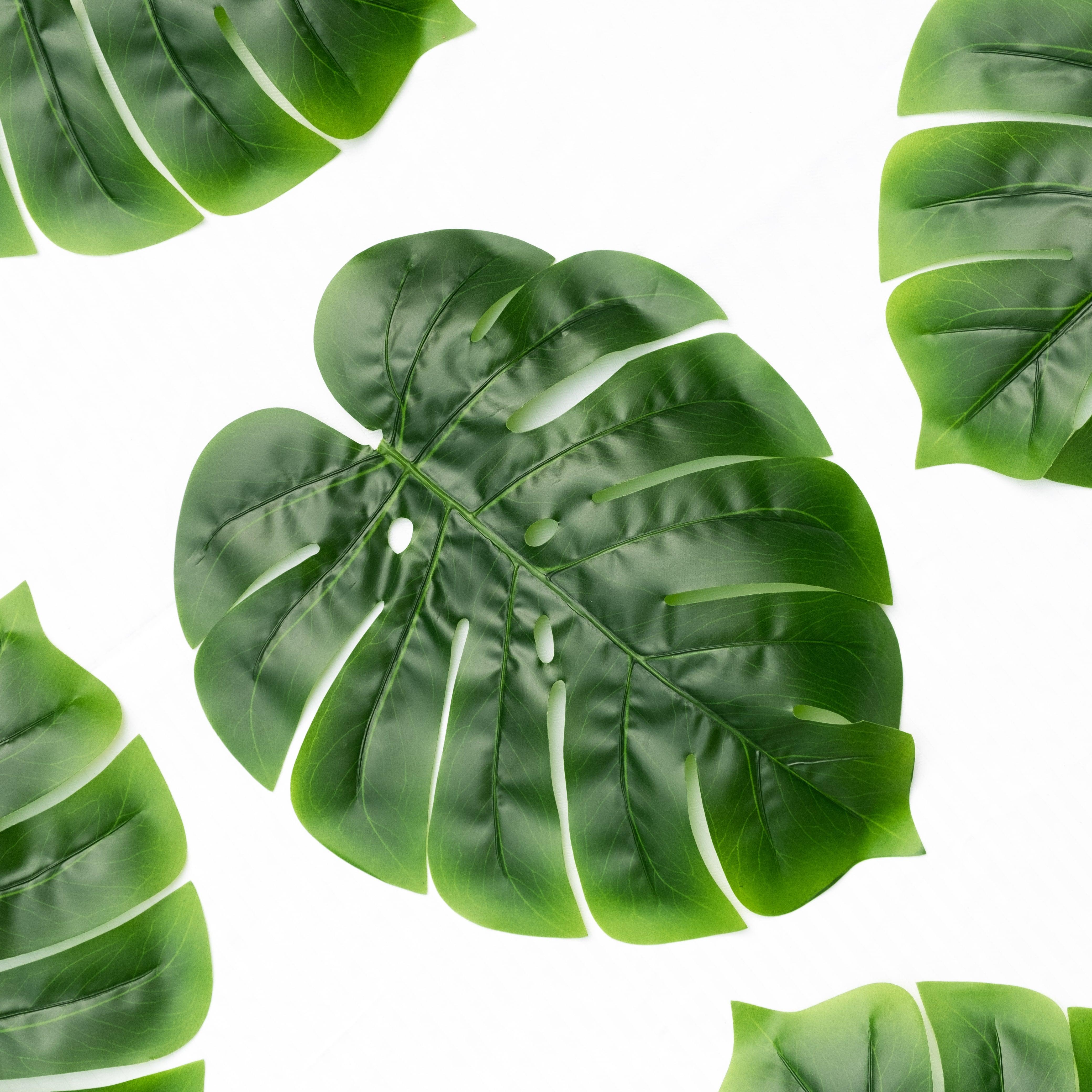 Monstera Leaf Mats - Floral Art by Nandini (A unit of R S creations and designs)