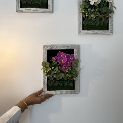 Orchid Wall Art