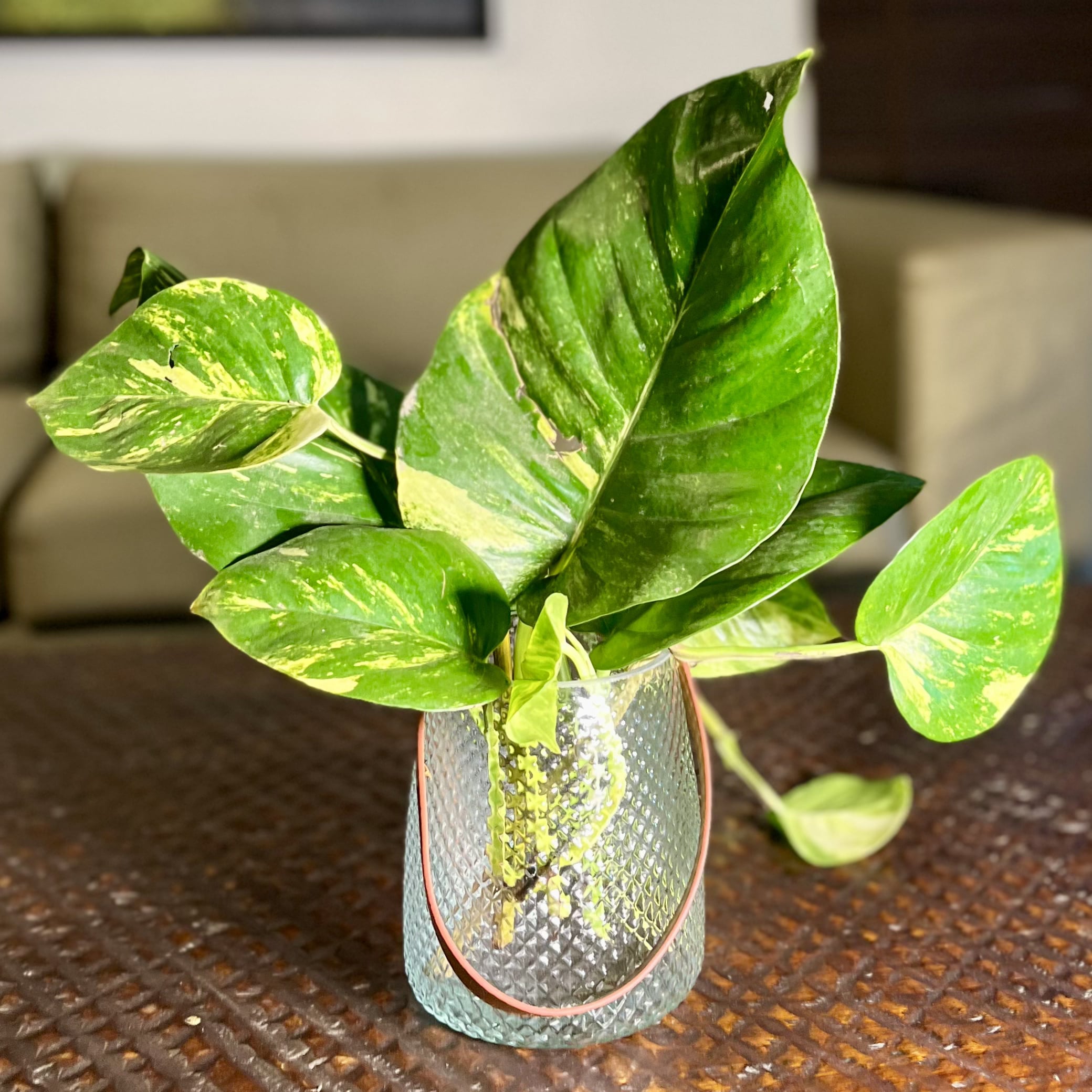 Tori Glass Vase