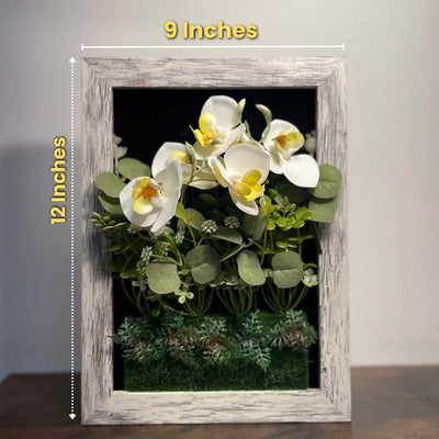 Orchid Wall Art