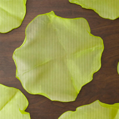 Organza Place Mats