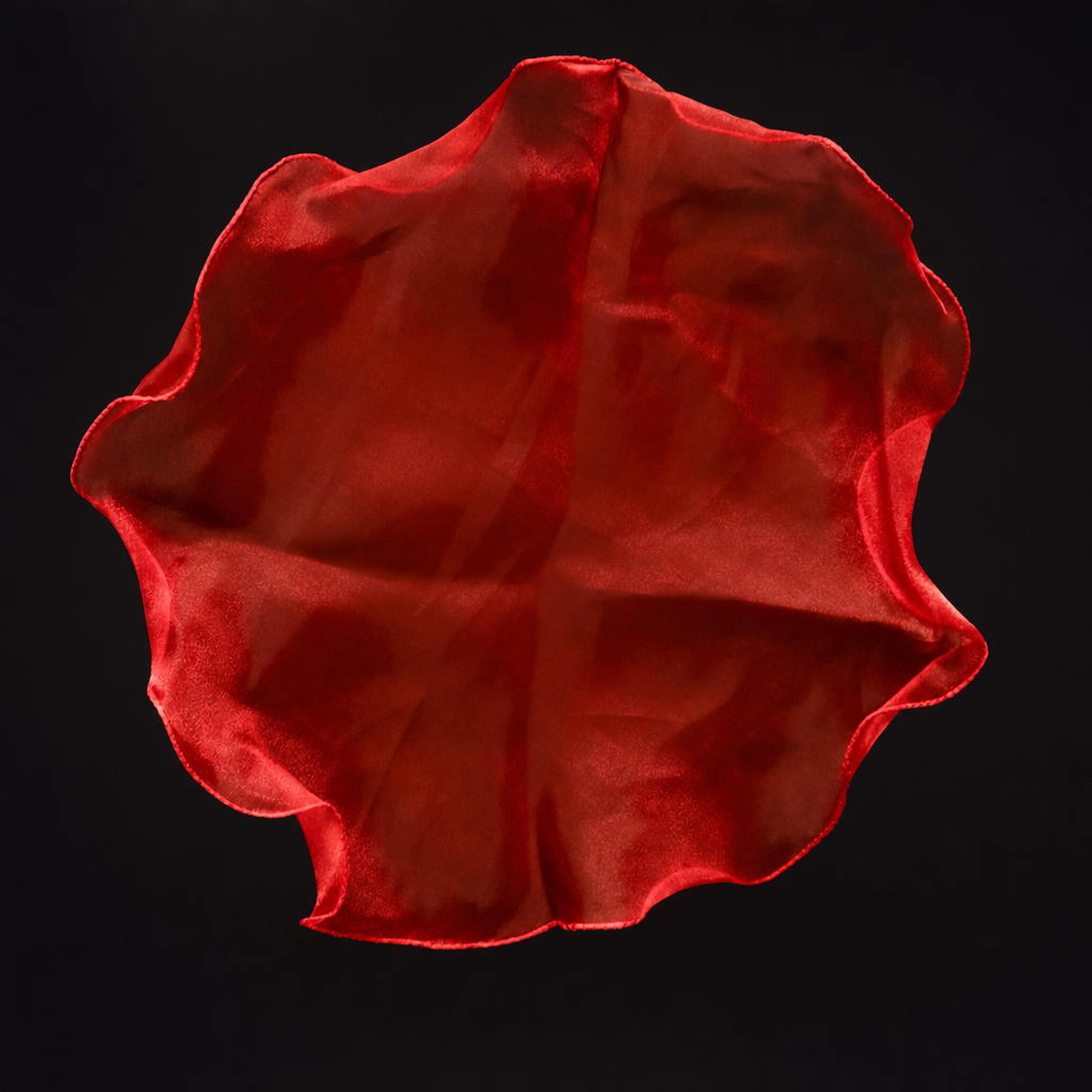 Organza Place Mats